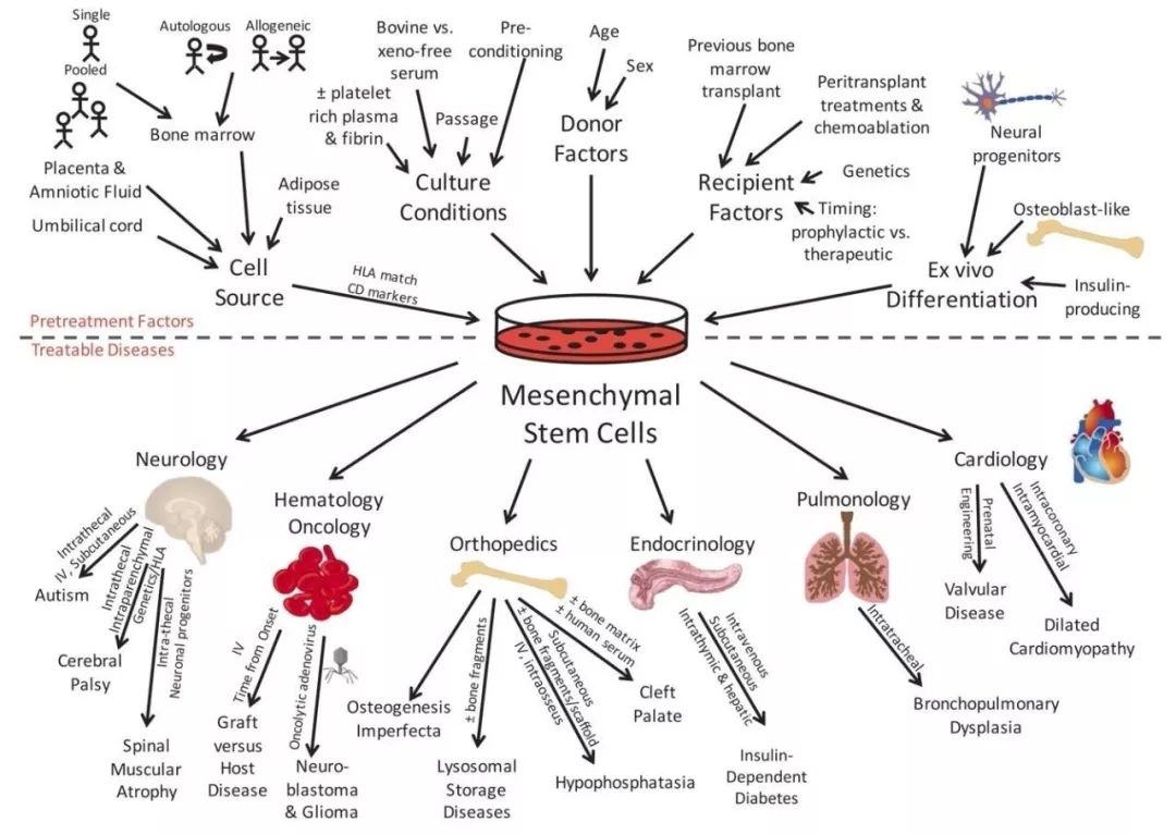 是什麽影響了幹細胞治療效果的差異化？(圖6)