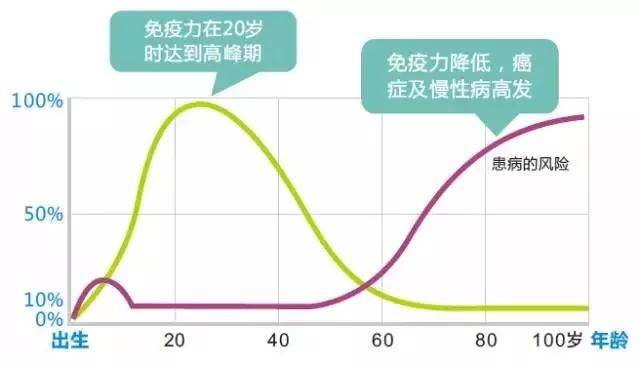 免疫細胞儲存的重要性！(圖7)