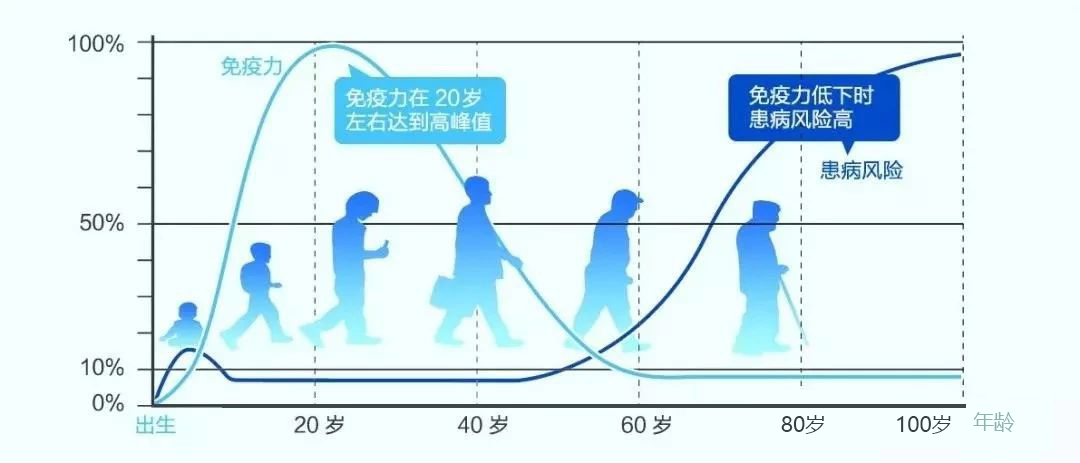 超全科(kē)普：關于免疫細胞，你需要了解的10個問題！(圖7)