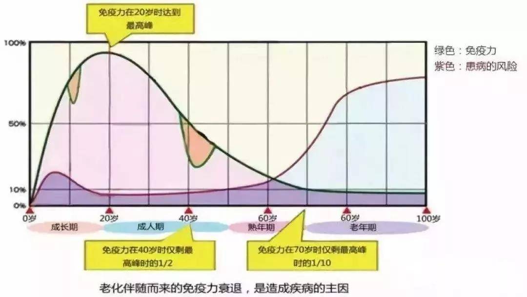 免疫細胞儲存的重要性！(圖4)