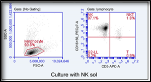 新(xīn)研究發現：NK免疫細胞能(néng)改善皮膚皺紋并防止衰老(圖3)