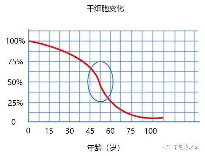 幹細胞抗衰老，能(néng)給你的身體(tǐ)帶來哪些變化？(圖2)